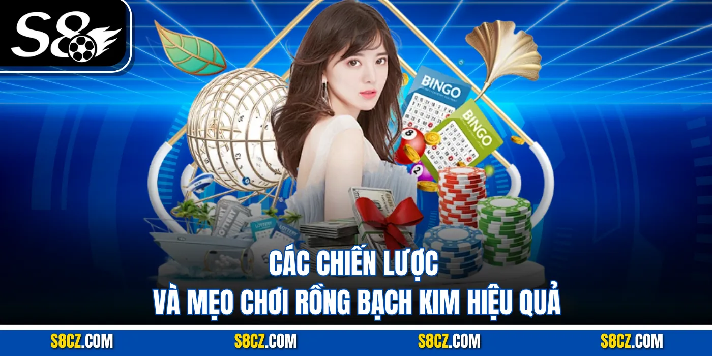 Các chiến lược và mẹo chơi Rồng bạch kim hiệu quả
